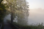 濃霧のタウバーリヴィエラ