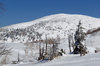 網張温泉スキー場の山頂からの眺め