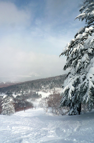 西森山