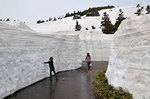 雪の回廊
