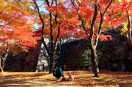 盛岡城跡公園の紅葉